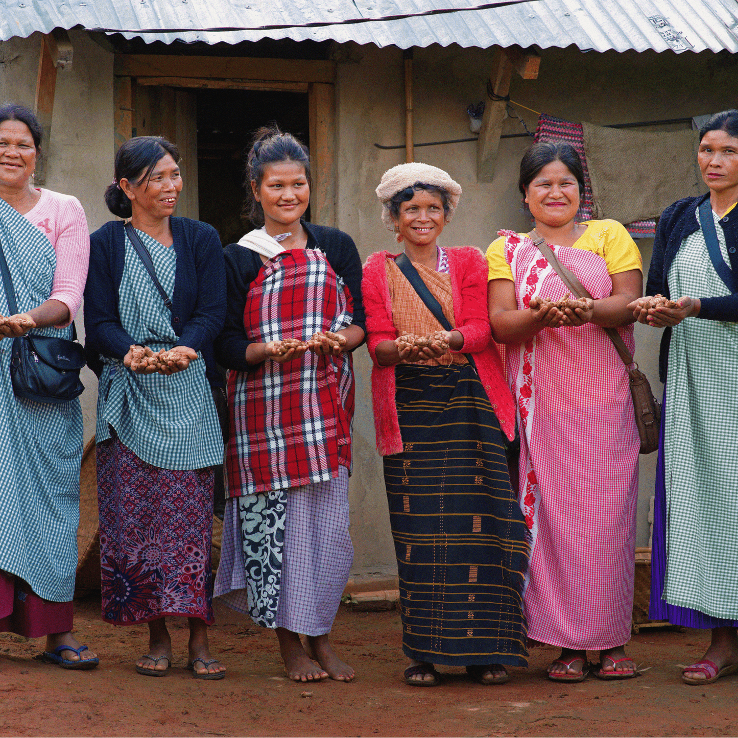 farmers of lakadong turmeric holding turmeric- dear farmer