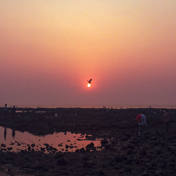 The Magic of Waking Up Early - Brahma Muhurta - Dear Farmer