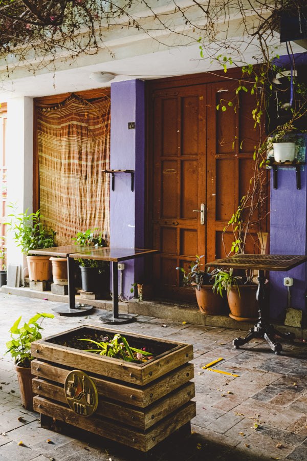 The Rise of Āyurveda From British Colonial - Dear Farmer