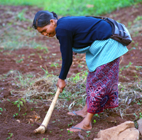 dear farmer - women farmer farming in north east india