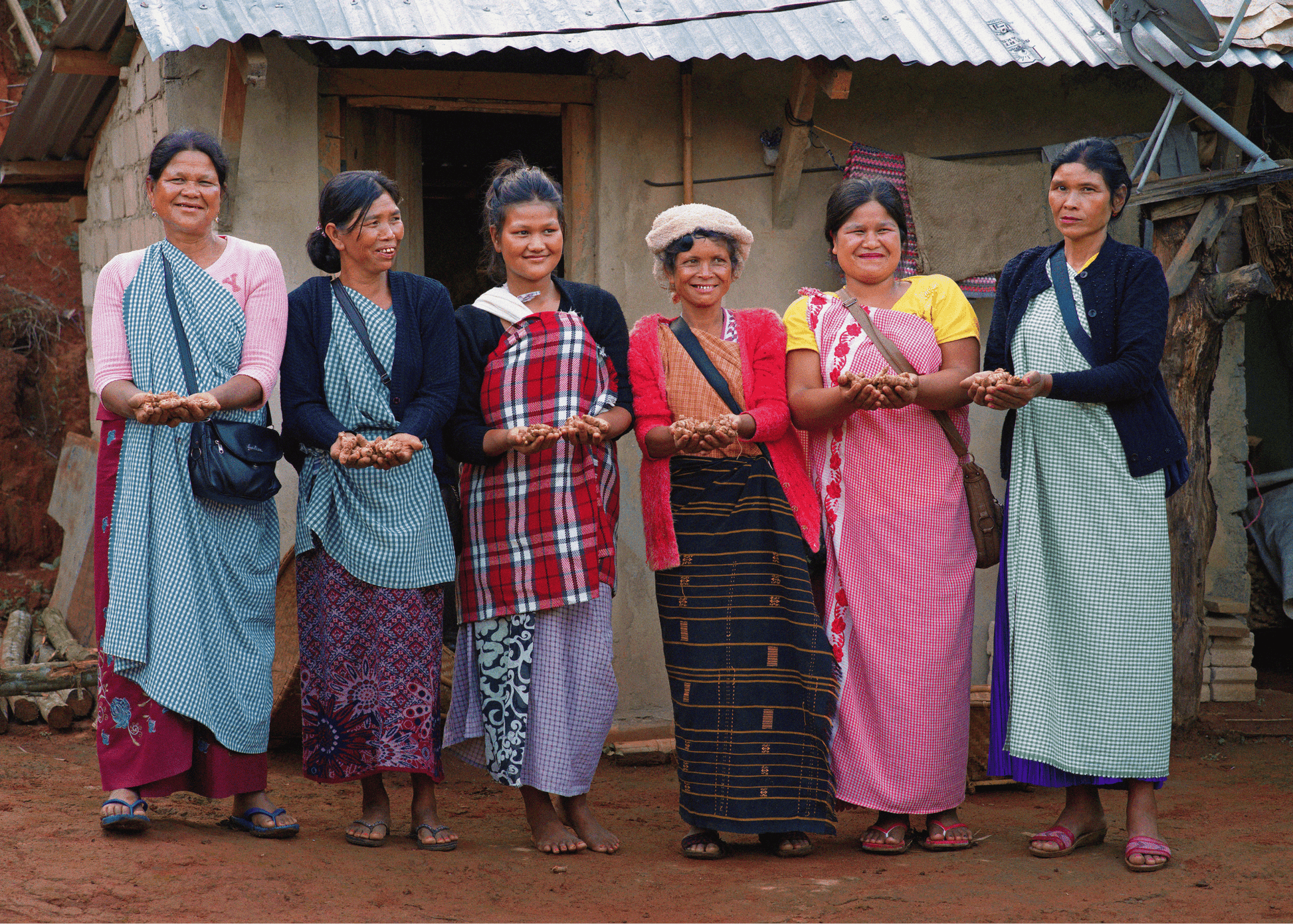 LAKADONG TURMERIC - Dear Farmer